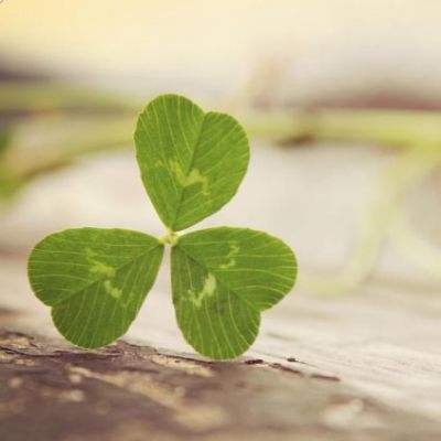 kok在线官网截图3